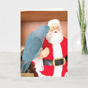 Festividades Parrotlet Bird visitando o cartão de Natal do Papa