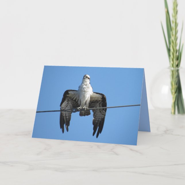 Festividades Pássaro em um Fio - Cartão de Saudação Osprey (Frente)