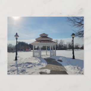 Festividades Pavilhão de Inverno Taylor Michigan Cartão Postal