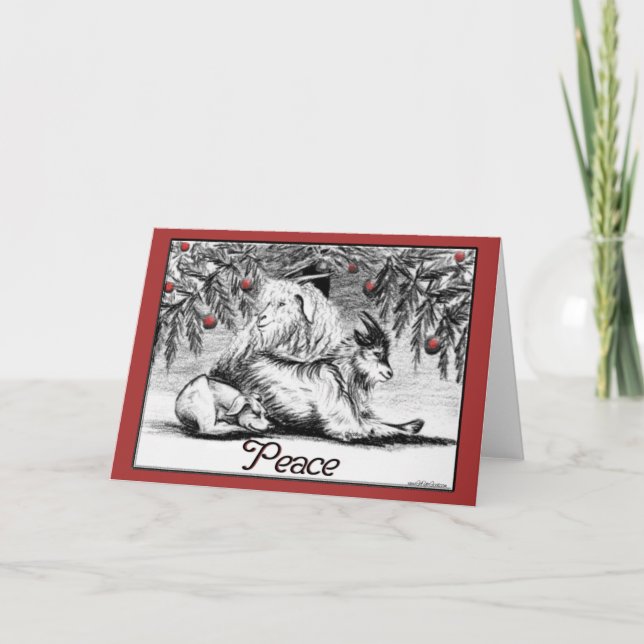 Festividades Paz de Cartão de Natal de Pigmy Goat (Frente)