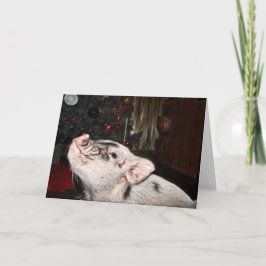 Festividades Paz e Amor pintaram Cartão de Natal Mini Porco