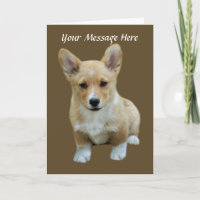 Pembroke Welsh Corgi - Cartão de Saudação