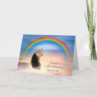 Festividades Perda do Yorkshire Terrier Rainbow Cartão de condo
