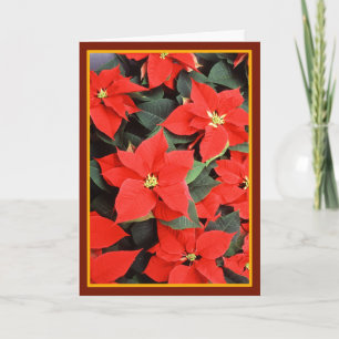 Festividades Poinsettias - Cartão De Arte Fino Vintage