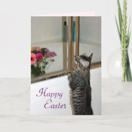 Festividades Precioso e Cartão de Páscoa de Kitten Bonito