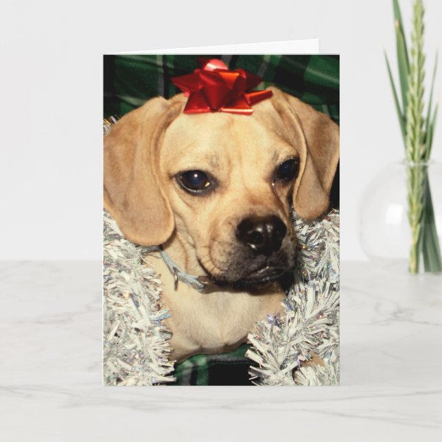 Festividades Puggle! Cartão de Natal (Frente)