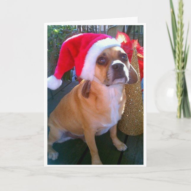 Festividades Puggle! Cartão de Natal (Frente)