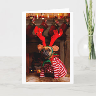 Festividades Puggle! Cartão de Natal