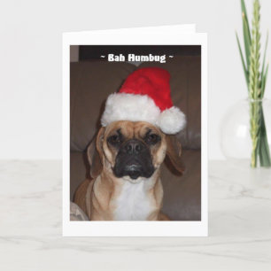 Festividades Puggle! Cartão de Natal