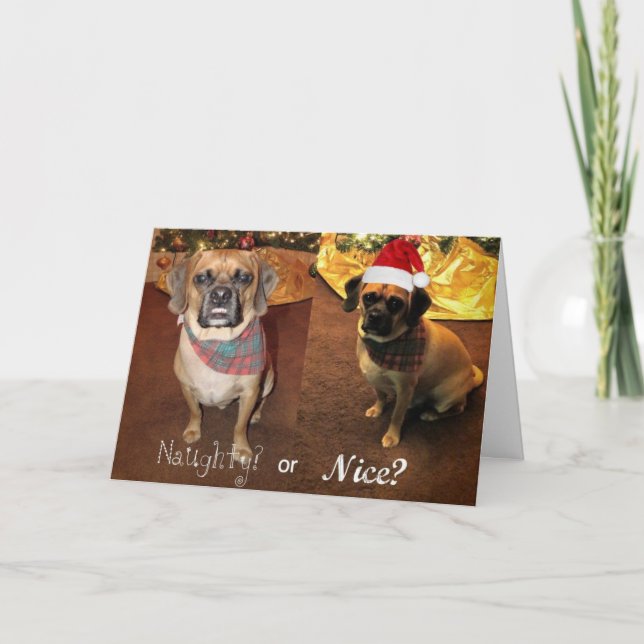 Festividades Puggle! Cartão de Natal (Frente)