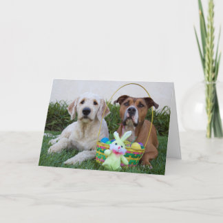 Festividades Que sua páscoa seja um cartão de ovo