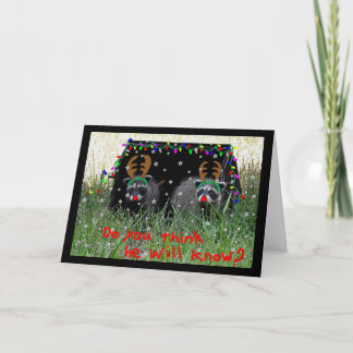 Festividades Reindeer quer cartão de Natal