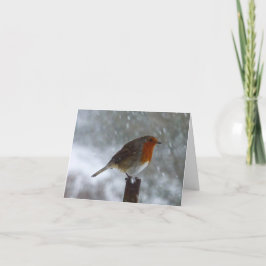 Festividades Robin no Inverno Cartão de Férias Dobrado