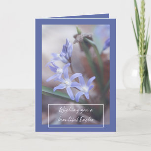 Festividades Saudações de Páscoa - Chionodoxa - Cartão