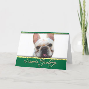 Festividades Saudações de temporada cartão de Natal de bulldog