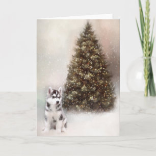 Festividades Siberian Husky Puppy Cartão de Natal
