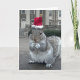 Festividades Sneezy - Cartão de Natal do Esquilo