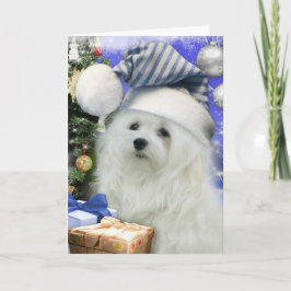 Festividades Snowdrop o Cartão de Natal Maltês