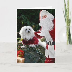 Festividades Snowdrop o Cartão de Natal Maltês