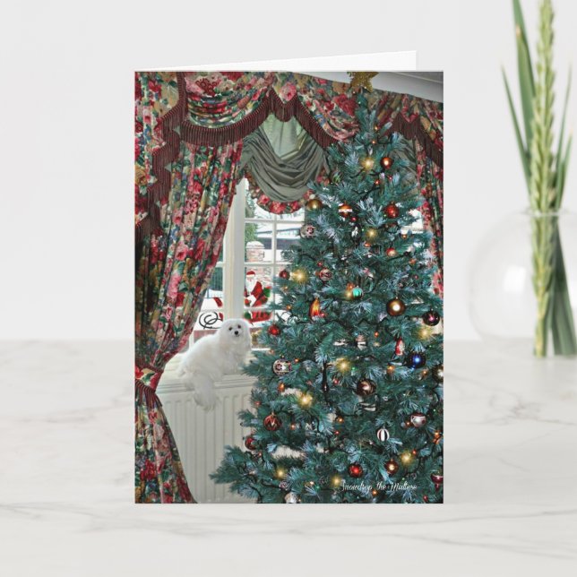 Festividades Snowdrop o Cartão de Natal Maltês (Frente)