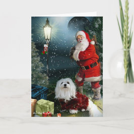 Festividades Snowdrop o cartão de Natal maltês