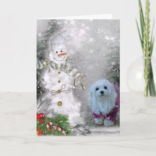 Festividades Snowdrop o Cartão de Natal Maltês
