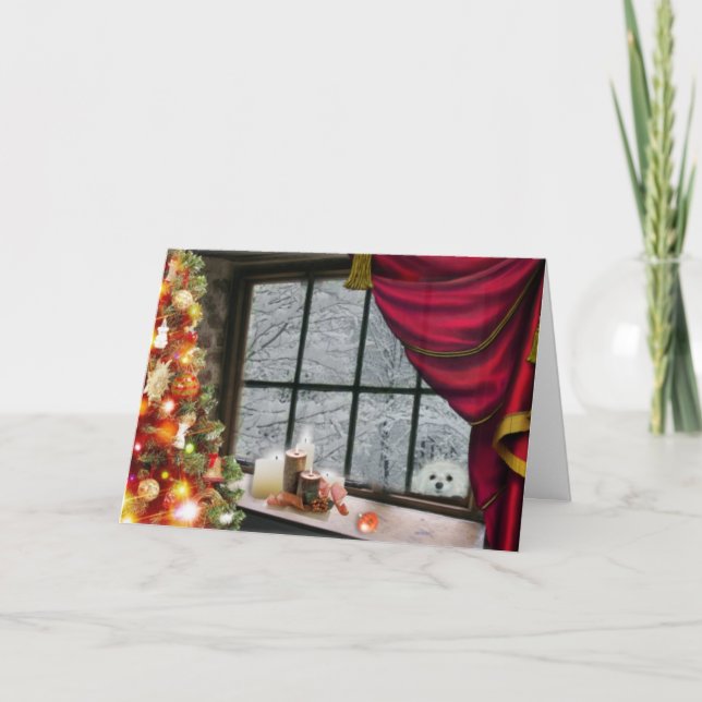 Festividades Snowdrop o Cartão de Natal Maltês (Frente)