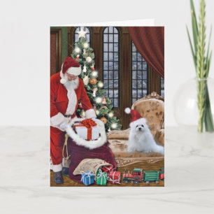 Festividades Snowdrop o Cartão de Natal Maltês