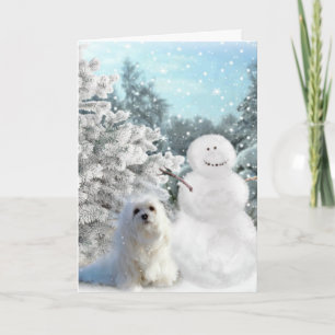 Festividades Snowdrop o Cartão de Natal Maltês