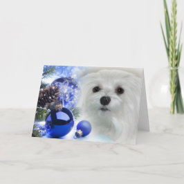 Festividades Snowdrop o Cartão de Natal Maltês