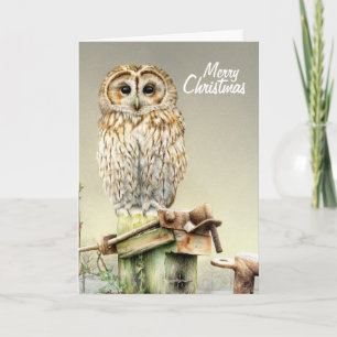 Festividades Tawny Owl no cartão de Natal das belas artes da ne