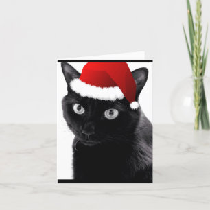Festividades "Tenha um Natal Feliz" Cartão de gato
