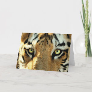Festividades Tigre 1 - Cartão de Saudação