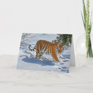 Festividades Tigre No Cartão De Férias De Neve Profunda