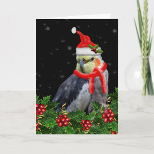 Festividades Um Cartão De Natal Muito Berry