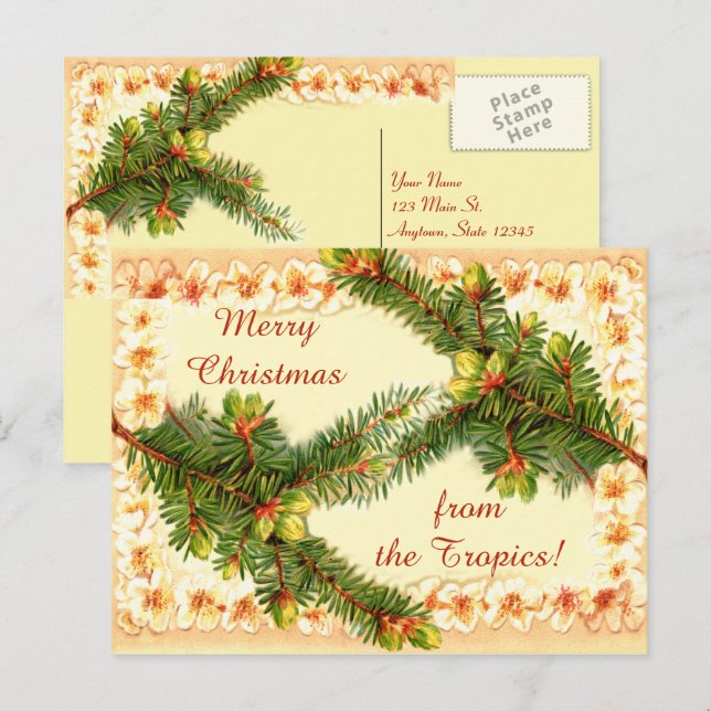 Festividades Um Cartão Postal Feliz de Natal (Frente/Verso)