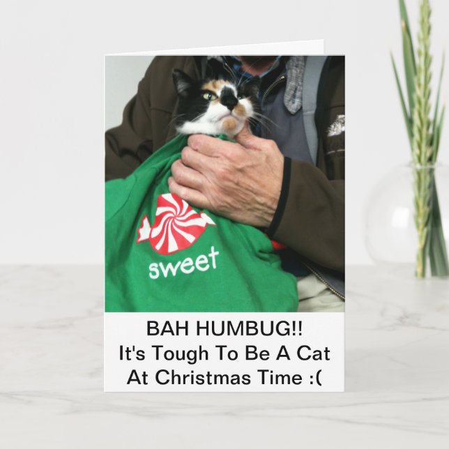 Festividades Um Gato Adora Um Cartão De Natal!!! (Frente)