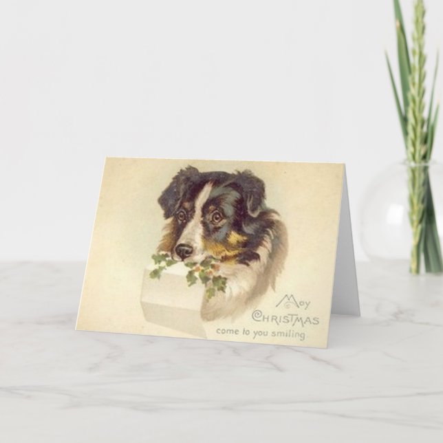 Festividades Vintage Border - Cartão de Natal Collie (Frente)