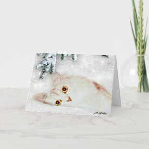 Festividades Visco o cartão de Natal de prata do gato persa