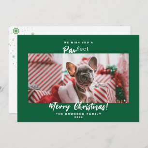 Festivo Foto de Pet Feliz Cartão de Natal