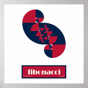Fibonacci Red White e Blue II Large Poster
