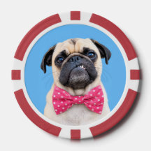 Pug Usando Laço Rosa