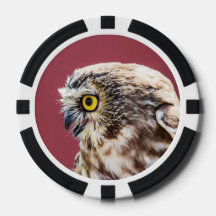 Retrato de Coruja norte