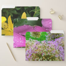 Boston Garden Yellow, Pink e Purple Flower Set
