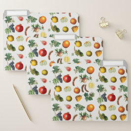 Ficheiro Padrão de Fruta do Mediterrâneo por Aquarela