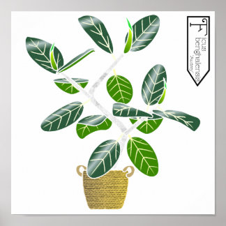 Ficus benghalensis 'Audrey' Fig Tree Poster