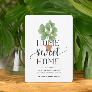 Fiddle Leaf Fig   Anúncio de mudança