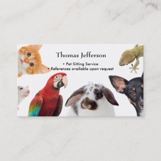 Fidelidade Pet Sitting Service Cartão de visita