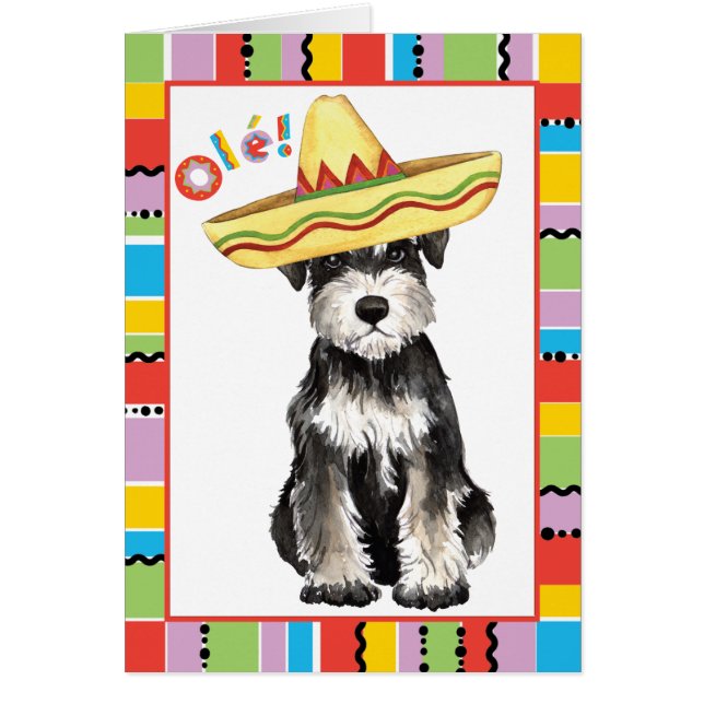 Fiesta Miniature Schnauzer - Cartão de Saudação (Frente)