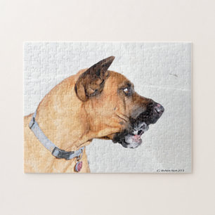 Fila Brasiliero Mastiff Jigsee Quebra-cabeça